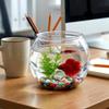 Hohopeti Unbreakable Table Aquarium view 3