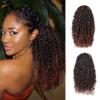 JIANBOHAIRS 14-Inch Kinky Curly Drawstring Ponytail Extension for Black Women, T1B-33 view 2