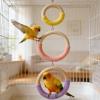 Yhsioaklo Wooden Parakeet Swing view 3