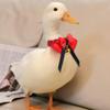 VILLCASE Christmas Pet Bird Bow Tie with Bell - Versatile Red Fabric Collar for Birds view 4