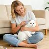 Compact, Gentle Dog and Pet Grooming Brush view 2