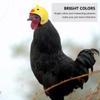 TOVINANNA Funny Poultry Hats for Chickens and Birds, 3-Piece Set view 3
