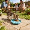 Zunishaone Cat Slow Feeder Bowl view 2