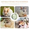 GALPADA Exercise Wheel for Hedgehogs and Small Pets with Sturdy Plastic and Metal Frame view 3