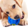 Interactive Dog Giggle Ball view 4