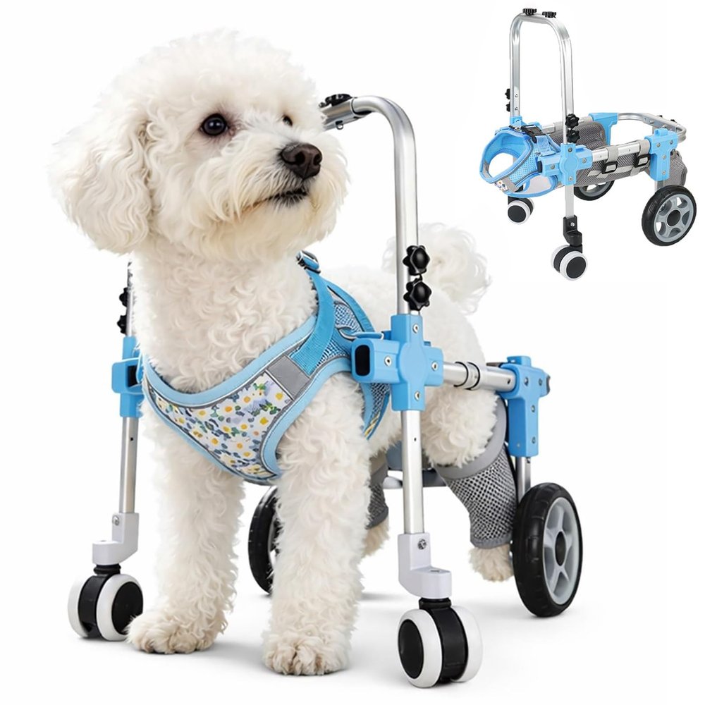 Adjustable Four-Wheel Dog Wheelchair, 4 Length Settings, Calf and Breathable Abdominal Support, Blue-L