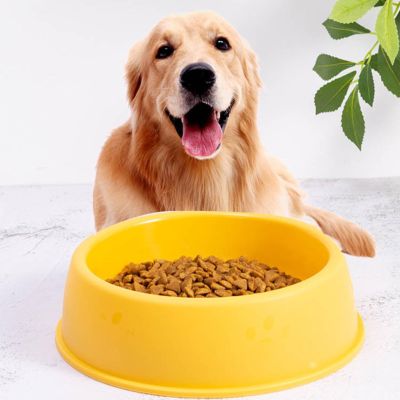 Pet Food and Water Bowl, Plastic Bowl for Dogs and Cats, Wide Base, Spill-Resistant, Large Capacity (Orange, One Size)