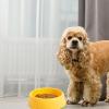 Pet Food and Water Bowl, Plastic Bowl for Dogs and Cats, Wide Base, Spill-Resistant, Large Capacity (Orange, One Size) view 2