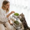 Cat Grass Tray - 2-Piece Compact Growing Set view 2