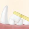 3-Pack Pet Toothbrushes with Comfortable Grip Design view 3