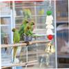 BESTYASH 2-Pack Bird Chew Toy view 4