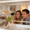 Bird Cage Perches with Climbing Ladder Wooden Toy view 2