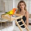 Wooden Climbing Ladder | Bird Swing Rungs for Budgies, Cockatiels, Sun Conures, Fancy Mice, Gerbils, Hamsters, Parrotlets and Canaries view 2