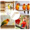 Wooden Climbing Ladder | Bird Swing Rungs for Budgies, Cockatiels, Sun Conures, Fancy Mice, Gerbils, Hamsters, Parrotlets and Canaries view 4