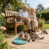 Non-Slip Slow-Feeder Bowl for Cats and Puppies view 3