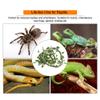 Tnfeeon Artificial Reptile Vines, Flexible PU Jungle Rattan with Suction Cups, 9.84 ft view 2