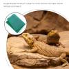 Durable Reptile Carpet for Terrariums view 3