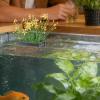 Adjustable Aquarium Plant Holder view 2