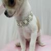 Lurrose Pet Birthday Necklace with Crystal Pendant and White Faux Pearls for Dogs and Puppies view 2