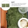Cabilock Artificial Moss Mats, Cotton, Breathable, Green, for Reptiles view 4