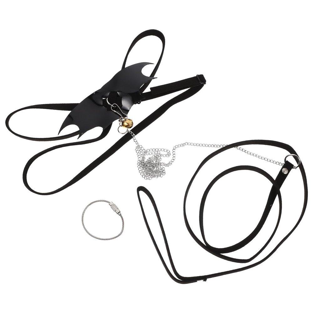 Cabilock Adjustable Lizard Leash Set