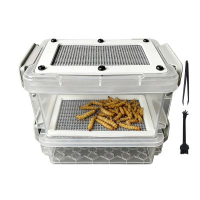 Silkworm Rearing Box with Moisture Protection