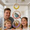 Wooden Bird Cage Swing and Hanging Enrichment Toy view 3