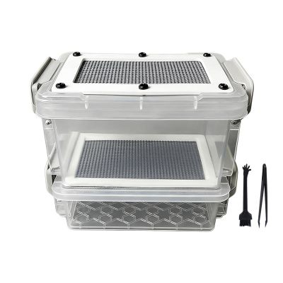 Mealworm Breeding Container with Moisture Protection
