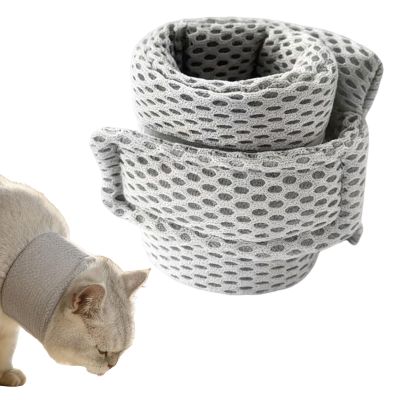 Adjustable Recovery Dog Collar with Protective Cone