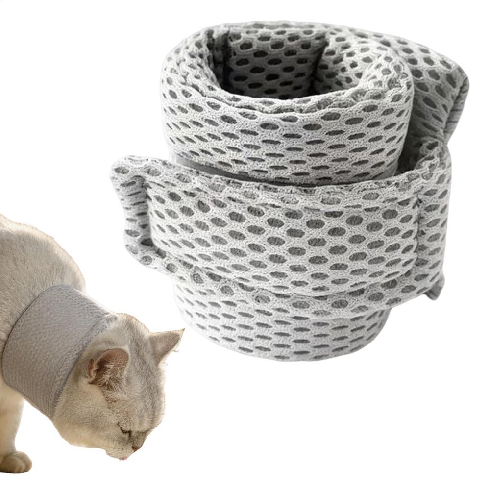 Adjustable Recovery Dog Collar with Protective Cone