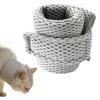 Adjustable Recovery Dog Collar with Protective Cone view 1
