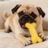 Generic Dog Chew Bone | Dental Care & Relaxation for Puppies view 3