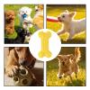 Generic Dog Chew Bone | Dental Care & Relaxation for Puppies view 4