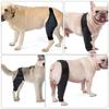 Adjustable, Breathable Dog Leg Brace for Injured Legs, Black view 3