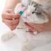Msioytog Gentle Pet Eye Cleaning Set view 4