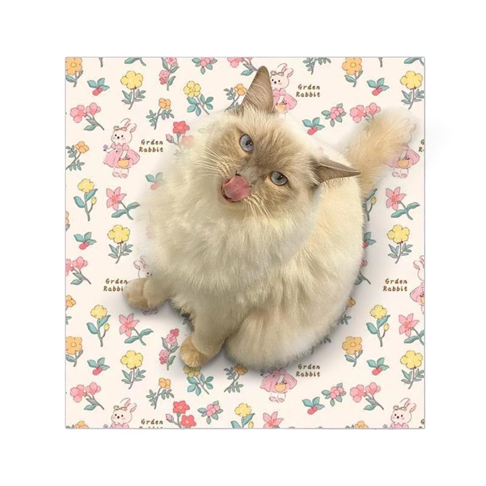 Adhesive Cat Grooming Wrap