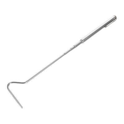 BESTYASH Extendable Stainless Steel Snake Hook for Reptiles, Silver