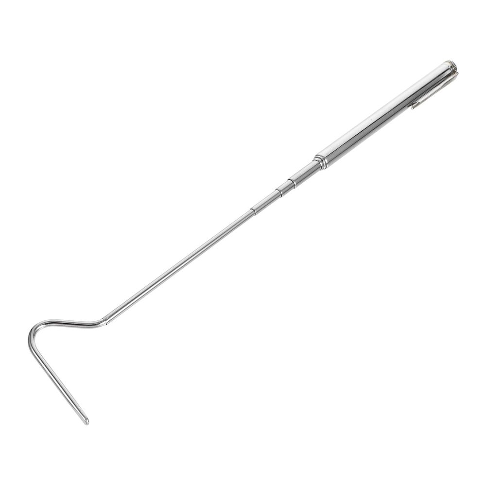 BESTYASH Extendable Stainless Steel Snake Hook for Reptiles, Silver