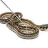 BESTYASH Extendable Stainless Steel Snake Hook for Reptiles, Silver view 4
