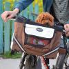 CAZSTYK Front-Mounted Bike Pet Carrier view 4