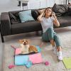 Slow Feeder for Dogs, Cats, and Treat Training Pad view 4