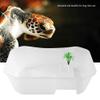 kaisudiAP Small Open Plastic Aquarium with Sun Platform for Turtles and Reptiles (White) view 4