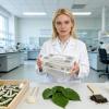 Transparent, Fine-Mesh, Odor-Reducing Mealworm Breeding Kit view 3