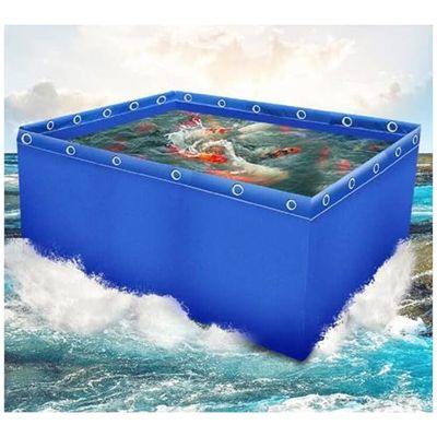 Above-Ground PVC Fish Pond for Indoor and Outdoor Use
