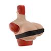 Realistic Silicone Breast Prosthesis, Z Cup view 1