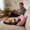 qokeeu Dog Pillow view 3