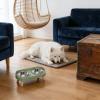 Naroote Elevated Dog Bowls, Stainless Steel, 2 x 400 mL view 2
