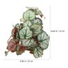 CLISPEED Artificial Hanging Terrarium Plant with Realistic Leaves view 2