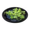Water Plant Protection Ring – Round Debris Barrier and Floating Pond Protection Island for Garden Ponds and Landscapers view 1