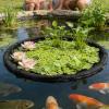 Water Plant Protection Ring – Round Debris Barrier and Floating Pond Protection Island for Garden Ponds and Landscapers view 3